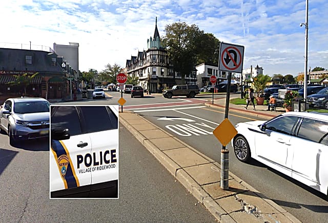 Dog Struck Killed 80 Year Old Owner Injured Crossing Ridgewood Street 